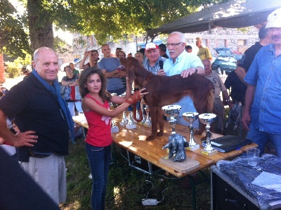 De La Combe Des Anges - FETE DU CHIEN CHAUSSENAC